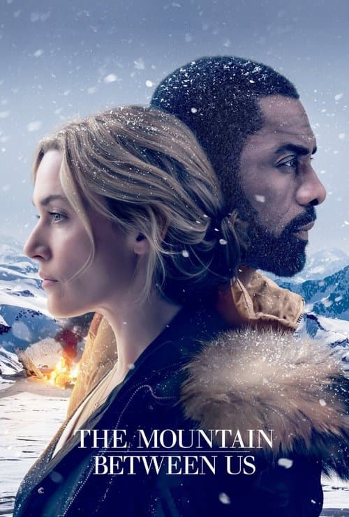 The Mountain Between Us (2017) - Movie