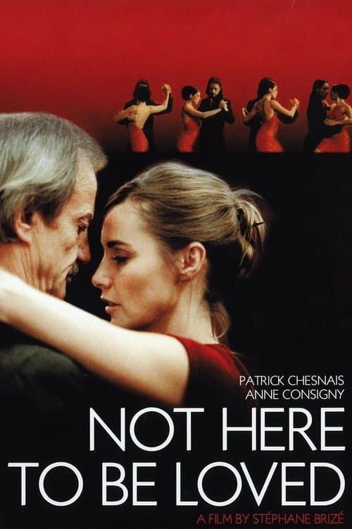 Je ne suis pas là pour être aimé (2005)